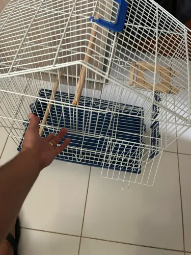 Viveiro de aves - ideal para duas, grades fortes