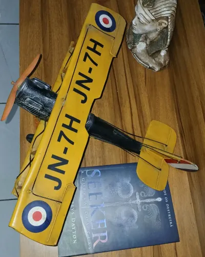 Miniatura Avião Biplano (40cm) G Curtiss Jenny JN-7H