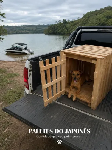 Caixa viagem de cachorro Pet