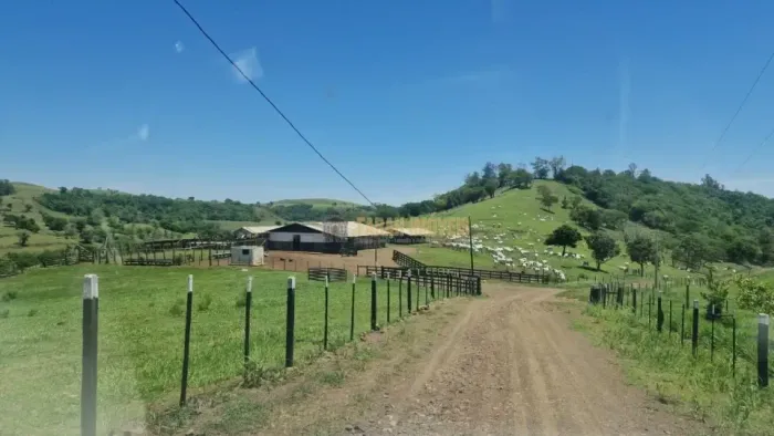 Fazenda 100 alqueires