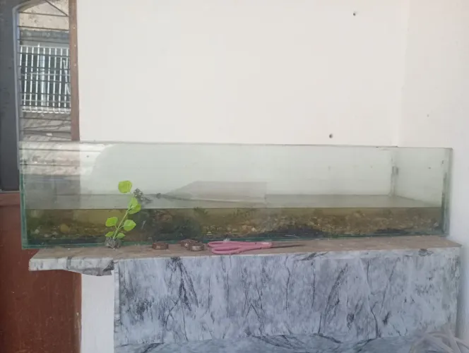 Aquário 80x20x20 + móvel 