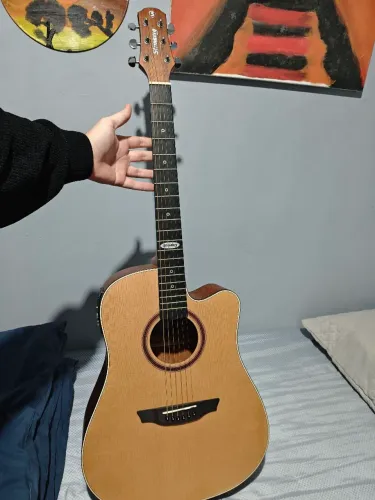 Violão sd200c Strinberg COM CASE EM COURO!
