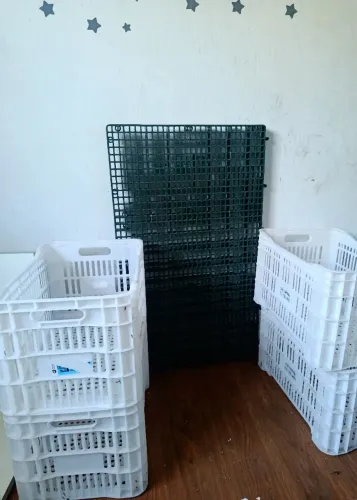 Caixas Vazadas e Palete
