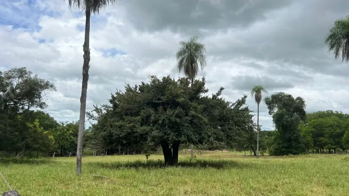 Lote em chácara próximo a cidade