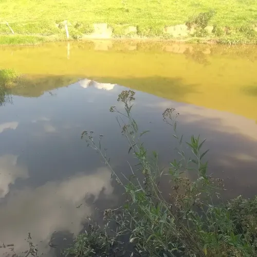 Sítio Estância Hidromineral de Amparo/SP/BR (Hel. Fon.)