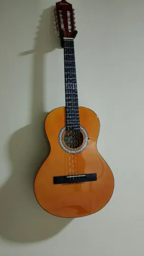 Viola caipira sem uso