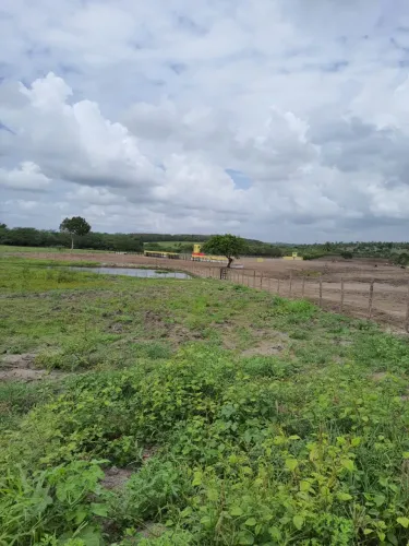 Excelente Granja em Monte alegre com 11 hectares
