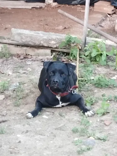 Doação