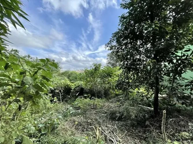 Lote 907,00 m² - Bolsão FECHADO no Miolo da Granja Viana!