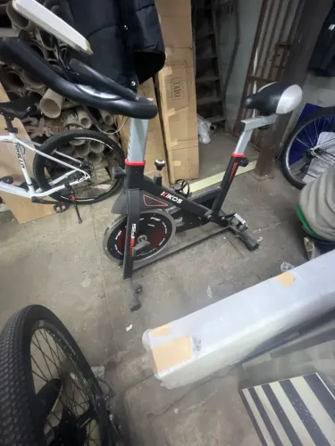 Bicicleta ergométrica