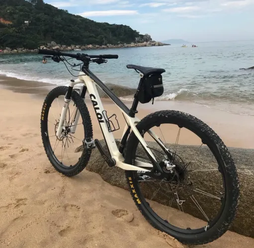 Caloi elite Carbon