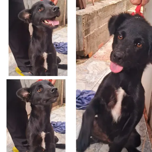 Doação responsável