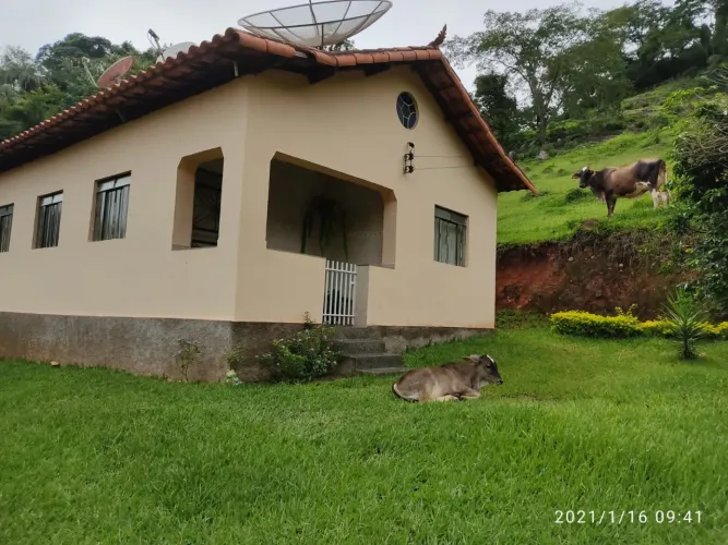 FAZENDINHA DE 2,5 HECTARES EM BONFIM/MG