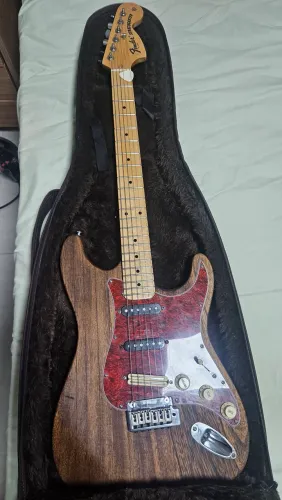 Guitarra Fender All Parts Ebay USA!
