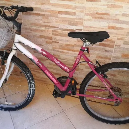 Vendo Bicicleta Aro 24 Paraty Track com suporte AltMayer Aceito Troca por esteira.