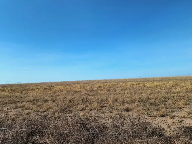 Fazenda de arrendamento pra soja 1.250hec em Sapezal MT.