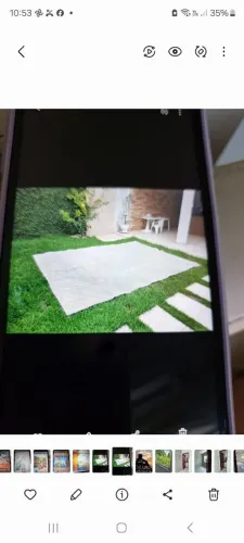 Vendo tapete