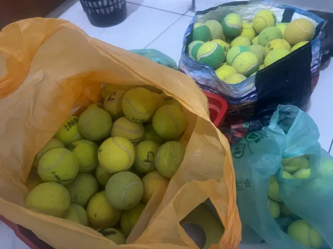 Lote de Bolinhas de Tênis Usadas - Ótimas para Pets, Fisioterapia Etc ?