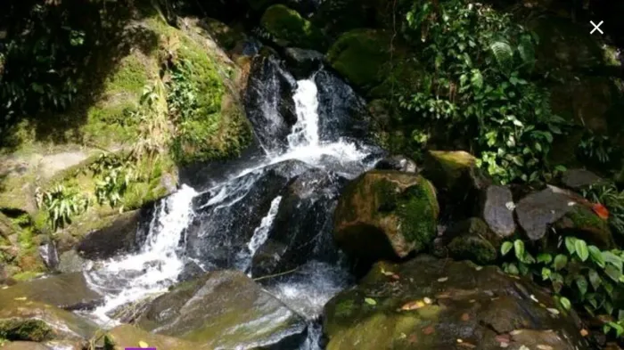 TERRENO À VENDA DOCUMENTADO COM 21.000M2 RIO SAGRADO | MORRETES/PR POR 235MIL
