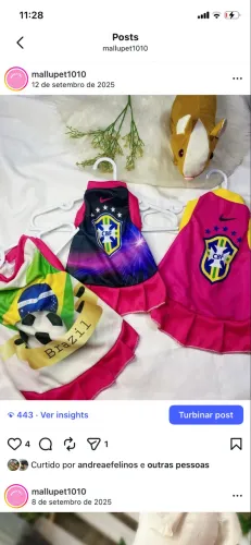 Vestido Brasil pet 