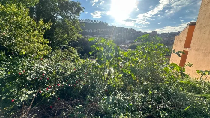 Terreno com 250m², bairro Borboleta, Juiz de Fora, MG.
