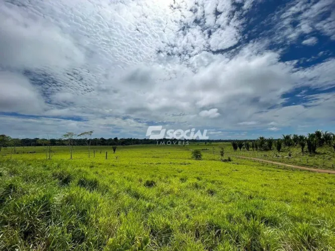 Excelente Fazenda de 682 hectares à venda - Área Rural - Candeias do Jamari/RO