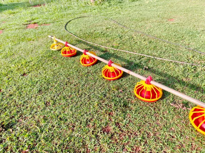? VENDE-SE LINHA DE COMEDOUROS AUTOMÁTICOS PARA AVES