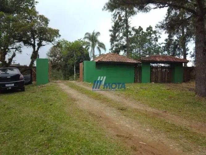 Área Exclusiva 20.000 m² em Borda do Campo Nascente, Córrego e Fácil Acesso à BR-277