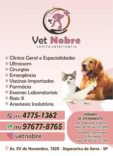 Clínica veterinária