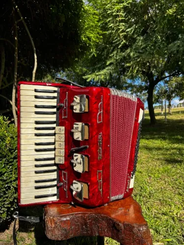 Acordeon Todeschini Artist 3