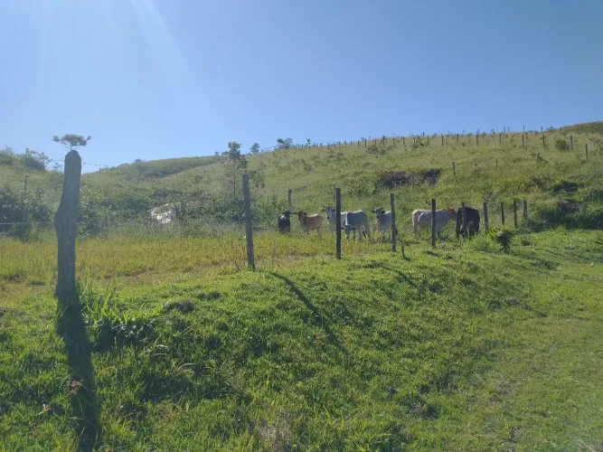 Fazendinha Cariacica 17 Alqueires 