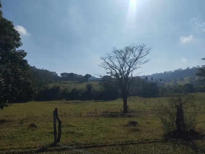 Fazenda dupla aptidão comendador gomes