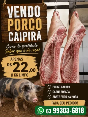 Leitoa caipira