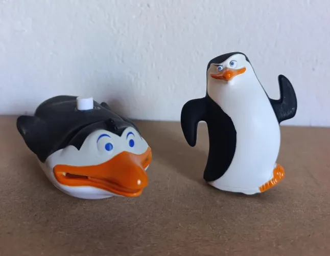 Lote pinguim de Madagascar