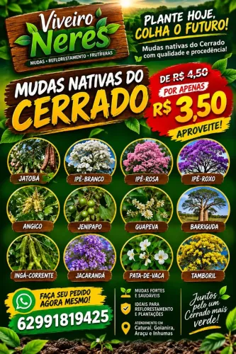? PROMOÇÃO IMPERDÍVEL! MUDAS NATIVAS DO CERRADO DE R$ 4,50 POR APENAS R$ 3,50! ?<br>