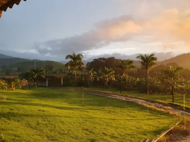 G- Oportunidade para investimento em Piau,  sitio com grande potencial de banana!
