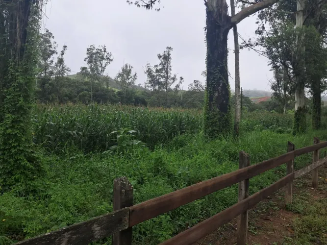 Trabalhador Rural em fazenda Belmiro Braga 