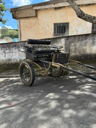 Charrete rio novo completa com arreio