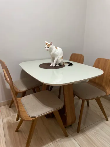 Mesa de Jantar com 4 Cadeiras - Design Moderno | Excelente Estado