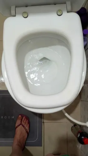 Vaso acoplado sem reparos da descarga.