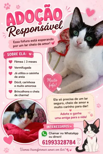 Adoção responsável