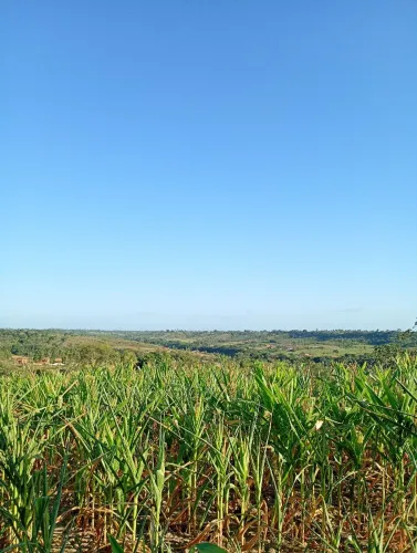 2 tarefas de Terra ( dispenso curiosos)