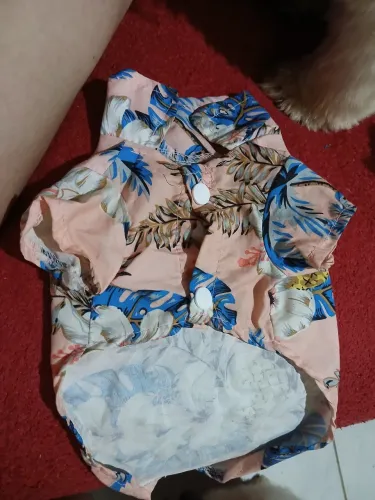 Roupinhas pet cachorro porte Pequeno