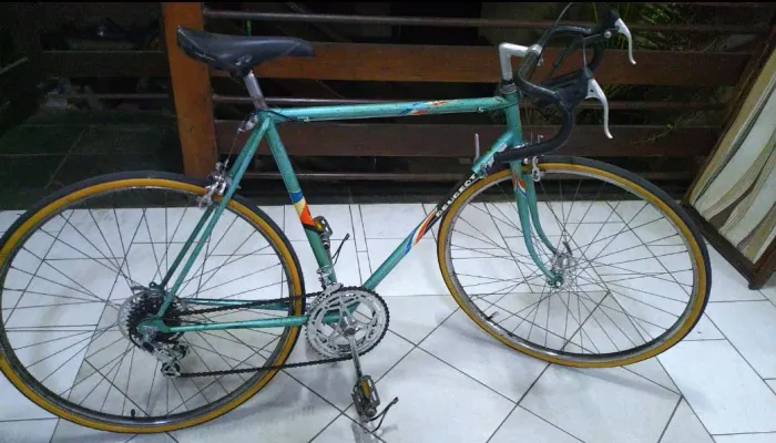 Peugeot 10