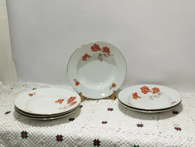 6 Pratos fundos porcelana Tchecoslováquia 