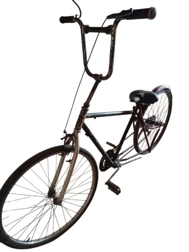 Bicicleta cruiser low rider
