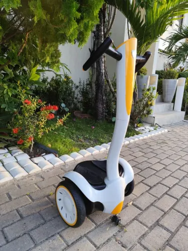 Patinete Elétrico Infantil - Rollplay Bandeirante