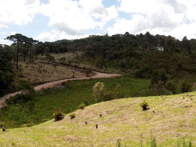 Chácara papanduva da serra 