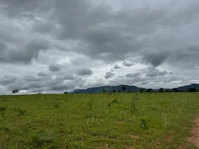 Fazenda Dupla aptidão (Lavoura e gado) a venda em São João Da Aliança - GO.