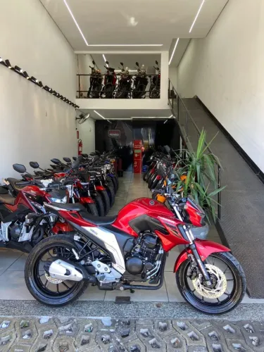 Yamaha Fazer FZ25 250 FLEX